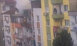 Ev yangınında 6 kedi telef oldu