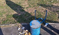 Parklara zarar veren şahıslar tespit edilecek