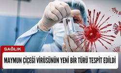 Maymun çiçeği virüsünün yeni bir türü tespit edildi