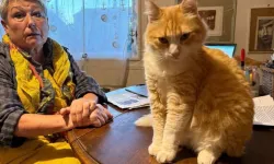 Dünyanın ilk mahpus kedisi