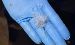 Ufacık yün parçası 57 milyon TL'lik ticareti durdurdu