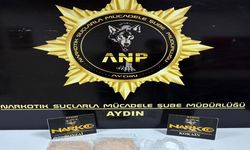 Aydın'da 100 kilo değerinde hammaddesi ele geçirildi