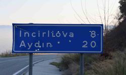 Aydın'da trafik levhaları kurşunların hedefi oldu
