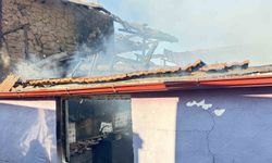 Soğukta evsiz kaldılar