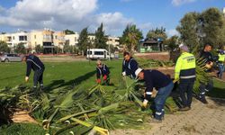 Didim Belediyesi ilçe genelinde çalışmalarını sürdürüyor