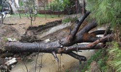 Kuşadası'nda belediye ekipleri seferber oldu