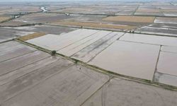 Söke'nin 2026 yılı ürün deseni belli oldu