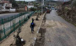 Yenipazar Belediyesi’nden Donduran Mahallesi’nde Yoğun Mesai