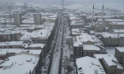 Trafiğe çıkışları yasaklandı