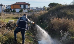 Didim’de Halk Sağlığı İçin Vektörlerle Etkin Mücadele