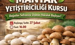 Sultanhisar'da mantar yetiştiriciliği kursu açılıyor