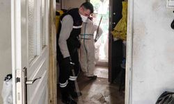 Aydın'da iki çöp evden 13 kamyon çöp çıktı