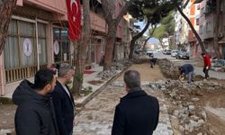 Buharkent'te yollar yenileniyor