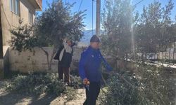 Buharkent'te Kursiyerlerin Uygulama Heyecanı