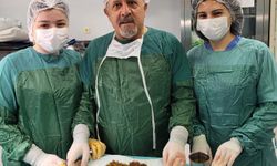 Karın ağrısıyla gitti, safrasından binlerce taş çıktı