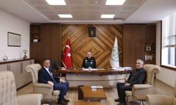 Yenipazar'da ıslahı süreci başlıyor