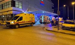 Aydın'da 2 yaşındaki bebek sulama göletine düştü