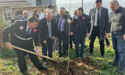 Fidanlar toprakla buluştu