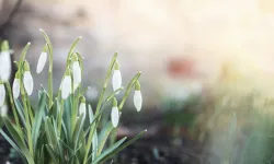 İkinci Cemre Ne Zaman Düşecek?