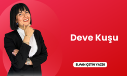 Deve Kuşu