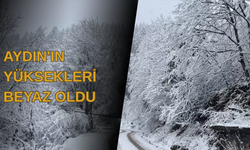 Aydın'ın yüksekleri beyaz oldu