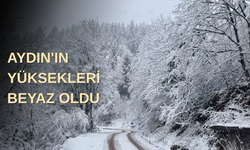 Aydın'ın yüksekleri beyaz oldu