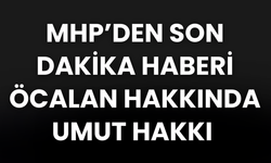 MHP'li Feti Yıldız: Umut hakkı konusunda uzlaştık