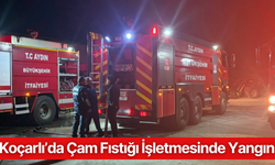 Koçarlı’da Çam Fıstığı İşletmesinde Yangın