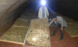 Karacasu'da tütün üreticileri başkanlardan destek bekliyor