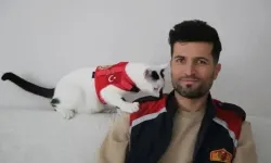 Enkaz Kedi Hâlâ Yanında