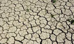 Aydın’da Kuraklık Tehlikesi