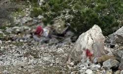 Uçurumdan düşen şahıs hayatını kaybetti