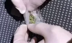 Uyuşturucu operasyonu