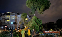 Nazilli’de feci iş kazası