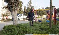 Aydın Büyükşehir'den Koçarlı'ya 'yeşil' dokunuş