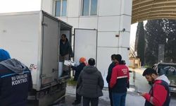 Aydın’da Belgesiz Taşınan 290 Kasa Balığa El Konuldu