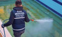 Didim'de vektörle mücadele sürüyor