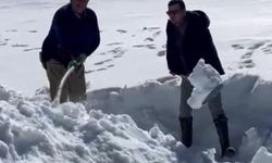 Zirvedeki Kar, Yazın Serinleten Tat