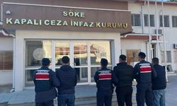 Germencik ve Söke'de göçmen ve organizatör operasyonu