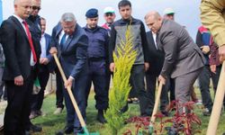 Fidanlar toprakla buluştu