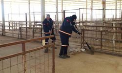 Nazilli Hayvan Pazarı yeniden açılıyor