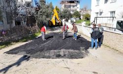 Nazilli'de yol çalışmaları devam ediyor