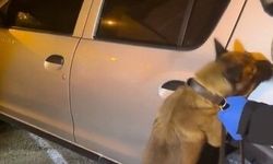 Söke ve Çine'de uyuşturucu operasyonu