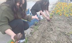 Yurt bahçesi gönüllü öğrencilerle bahara hazırlandı