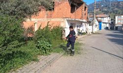 Efeler Belediyesi yeşil alan çalışmalarını sürdürüyor