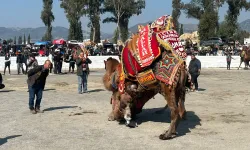 Sezonun ilk güreşi İncirliova’da