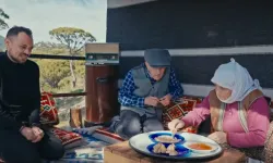 Bozdoğan’ın meşhur çam fıstığı tanıtıldı