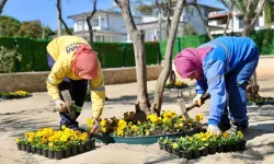 Didim’in Parkları Bahara Hazır