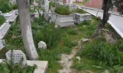 Aydın'da mezzarlıklar kaderine terk edildi