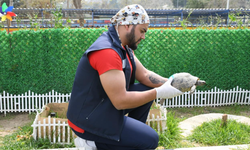 Kuşadası’nda Kaplumbağalara Özel Yaşam Alanı